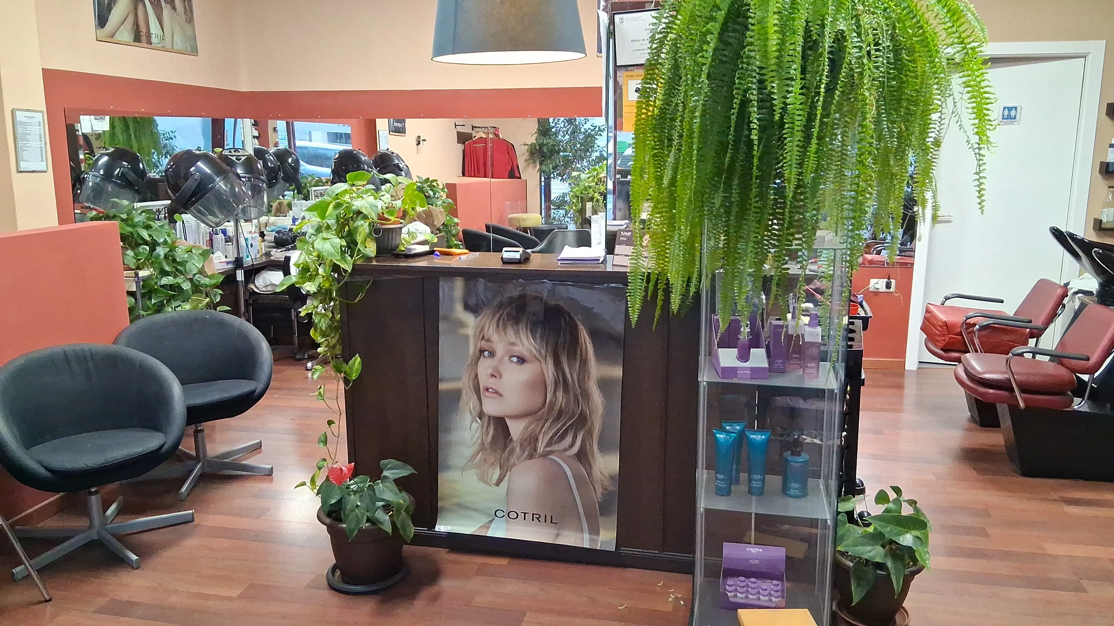 Zona de recepción con sillones y plantas